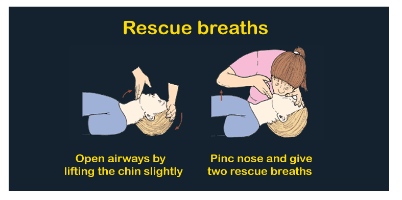 CPR-Definition | Online Tutorials Library List | Tutoraspire.com