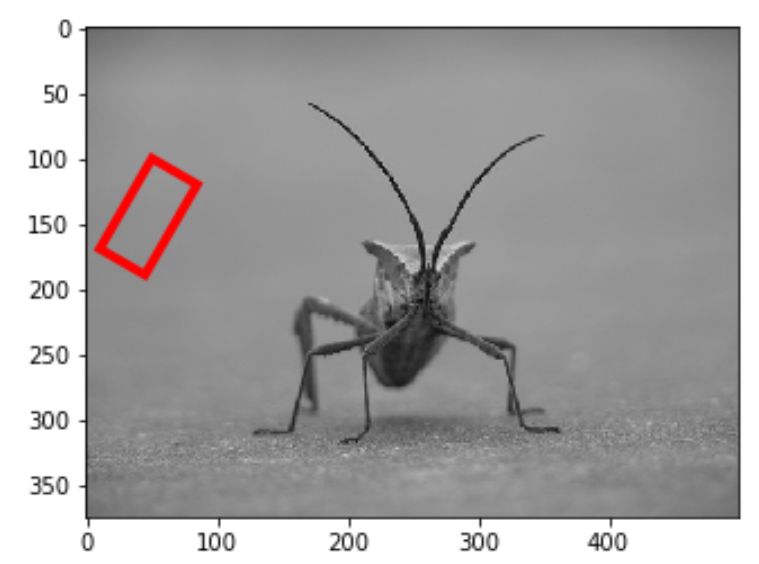 Rotated rectangle on an image in Matplotlib