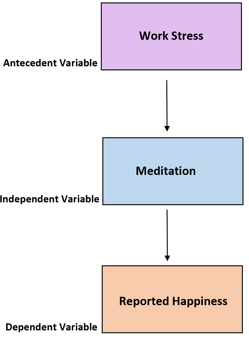 Antecedent variable in statistics